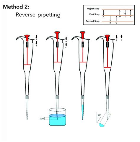 how to pipette